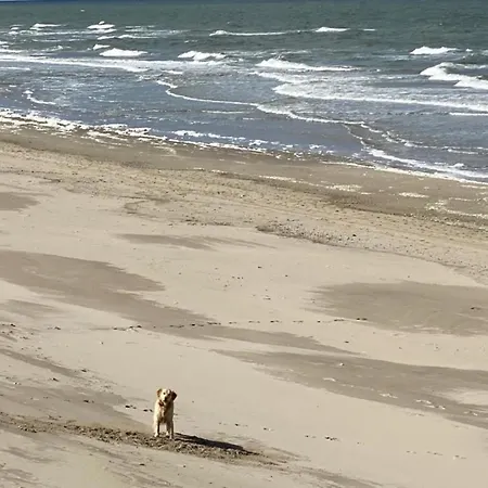 Pur M 3 Natureingebunden, Familien- Und Hundefreundlich Eingezaeunt Callantsoog