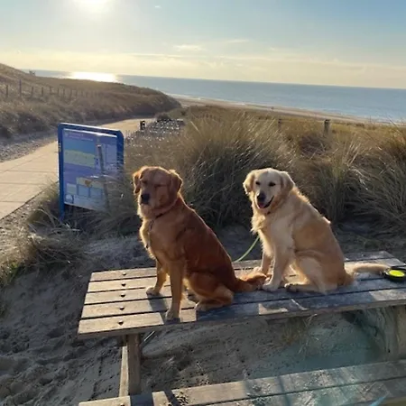 Nyaraló Pur M 3 Natureingebunden, Familien- Und Hundefreundlich Eingezaeunt
