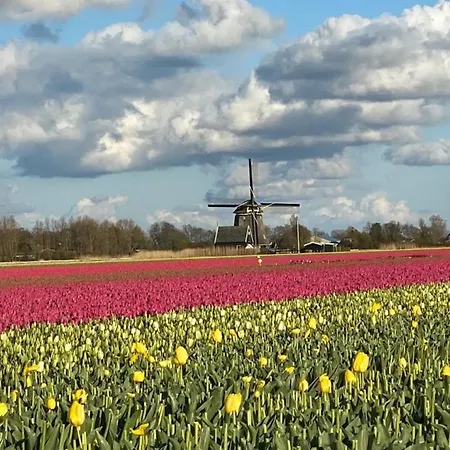 Nyaraló Pur M 3 Natureingebunden, Familien- Und Hundefreundlich Eingezaeunt Callantsoog