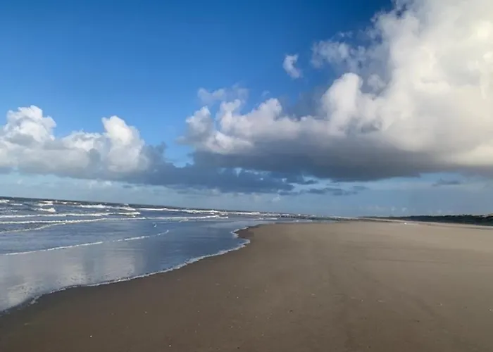 Pur M 3 Natureingebunden, Familien- Und Hundefreundlich Eingezaeunt *